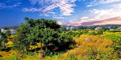 Image from popular destination Yelagiri - Hub of Enthralling Adventure Activities