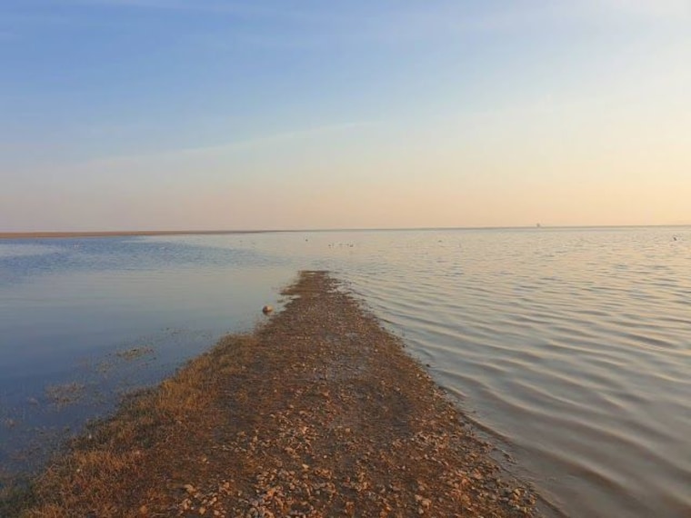 Pong_lake_2