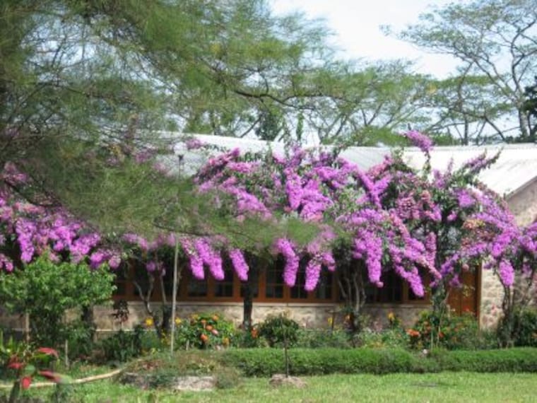 Vagamon Kurisumala Ashram Landscape Image