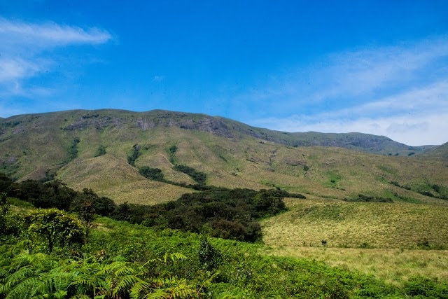 Grass_Hills_National_Park_1