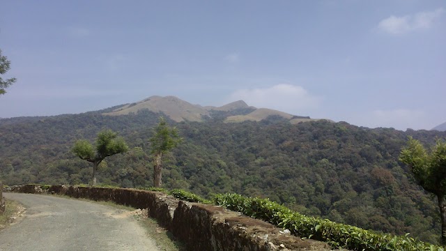 Grass_Hills_National_Park_4