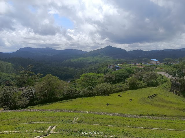 Sholayar_Dam_Cottages_3