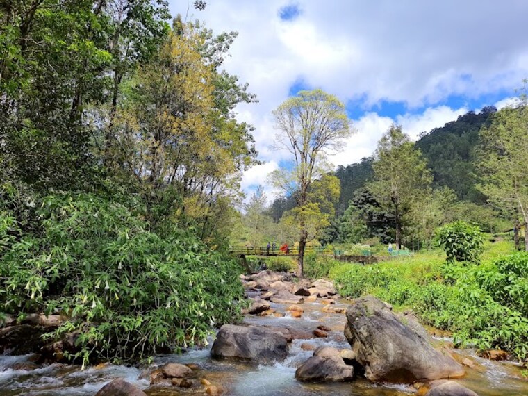 Chinnar_Kallar_Falls_1