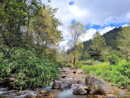 Chinnar Kallar Falls