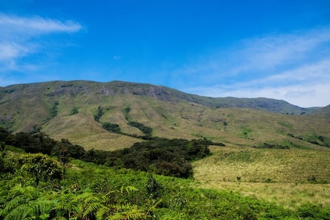 Grass Hills National Park