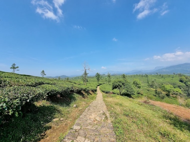 Nallamudi_View_Point_4