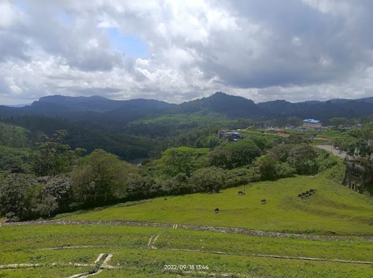 Sholayar_Dam_Cottages_3