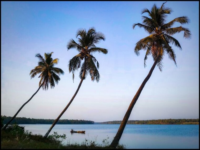 Varkala Kappil Lake Landscape Image