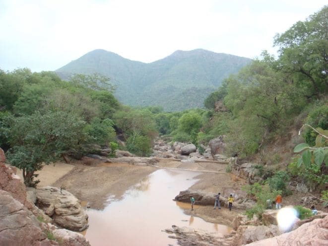 Vellore Amirthi Zoological Park Landscape Image