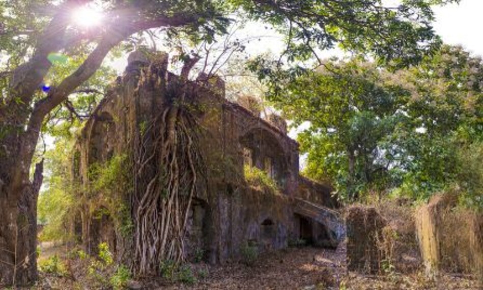 Vengurla Dutch Factory Landscape Image