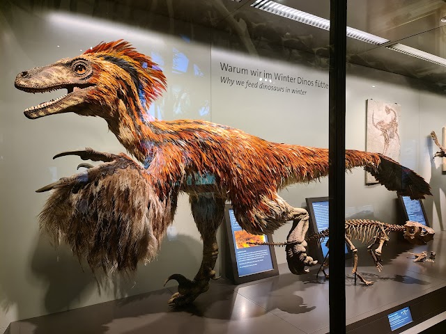Natural_History_Museum_1