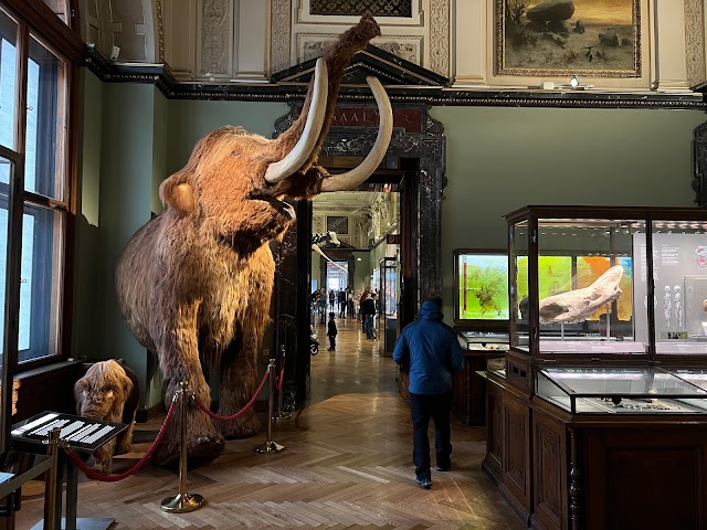 Natural_History_Museum_3