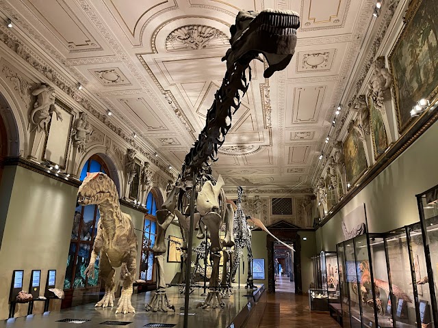 Natural_History_Museum_4
