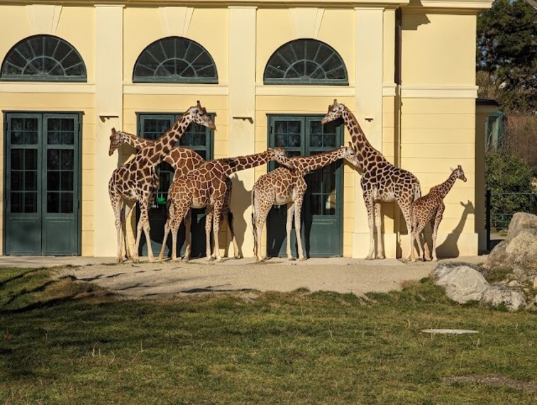 Vienna_Zoo_2