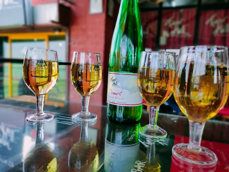 Chateau_Indage_Pune_10