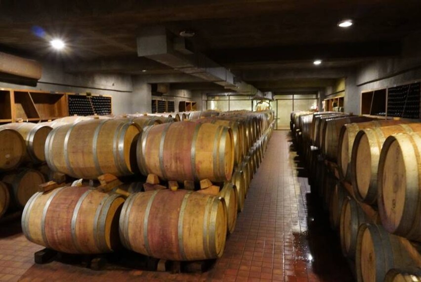 Fratelli_Wines_Solapur_4