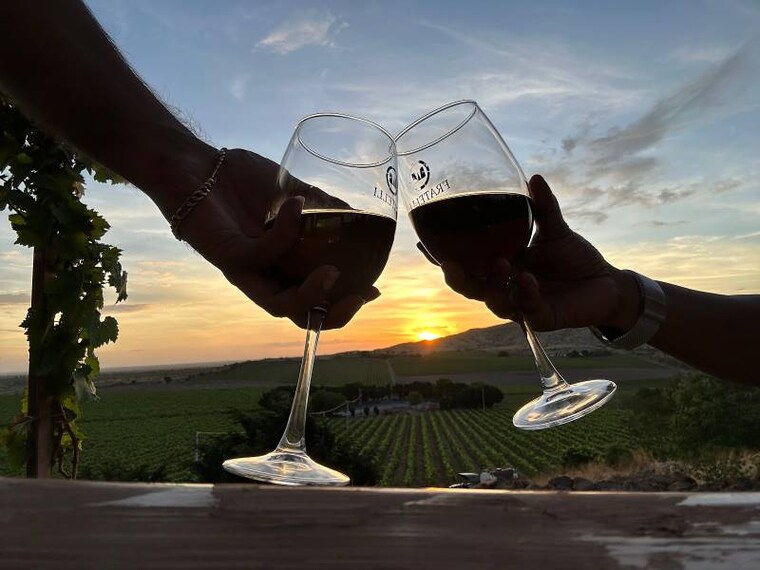 Fratelli_Wines_Solapur_7