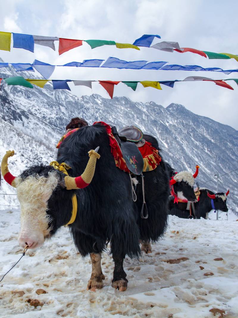 10 Places To Visit In January In India For A Memorable Vacation 10-places-to-visit-in-january-in-india-for-a-memorable-vacation