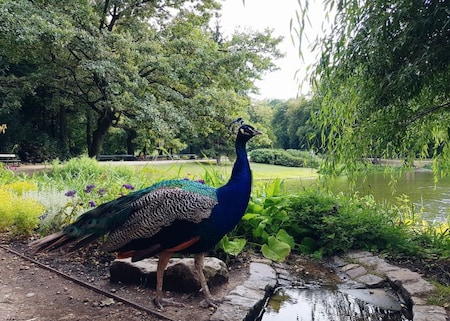 City Zoological Garden