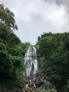 Umbrella Waterfalls, Maharashtra
