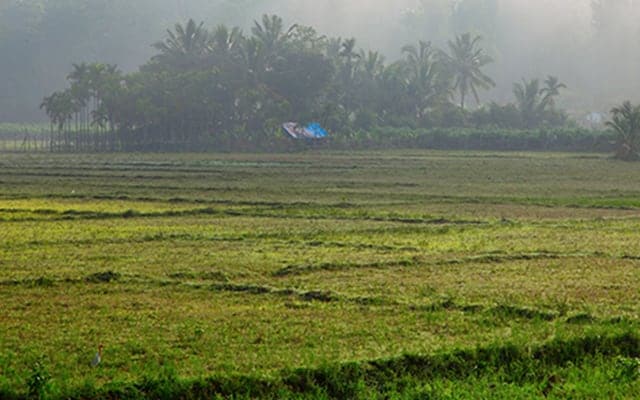 Wayanad Muthanga Wildlife Sanctuary Landscape Image