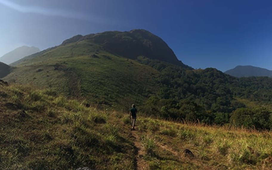 Wayanad Mountain Hiking Landscape Image