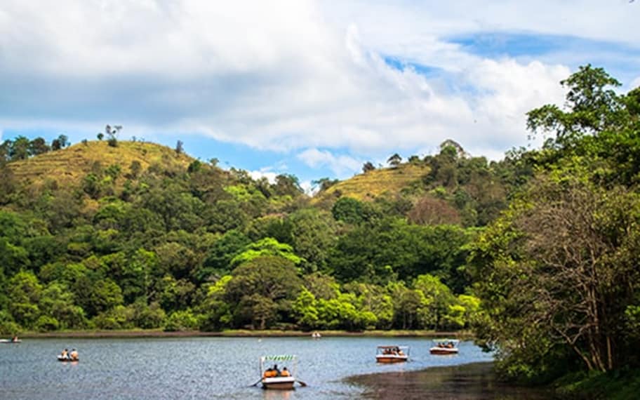 Wayanad Pookode Lake Landscape Image