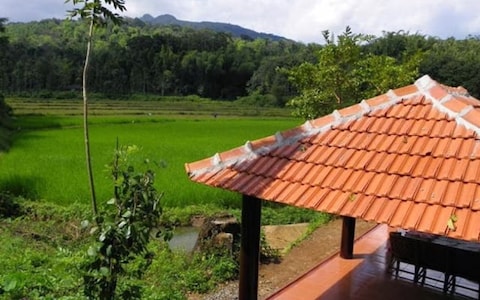 Jungle Retreat Wayanad