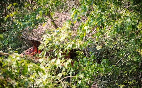 Vythiri Resort