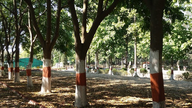 Chaudhary_Devi_Lal_Herbal_Nature_Park_2