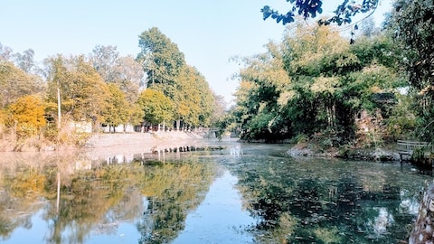 Herbal Nature Park In Yamunanagar