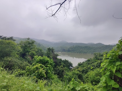 Kalesar Wildlife Sanctuary