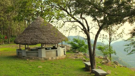 yercaud_heavens_ledge_campsite