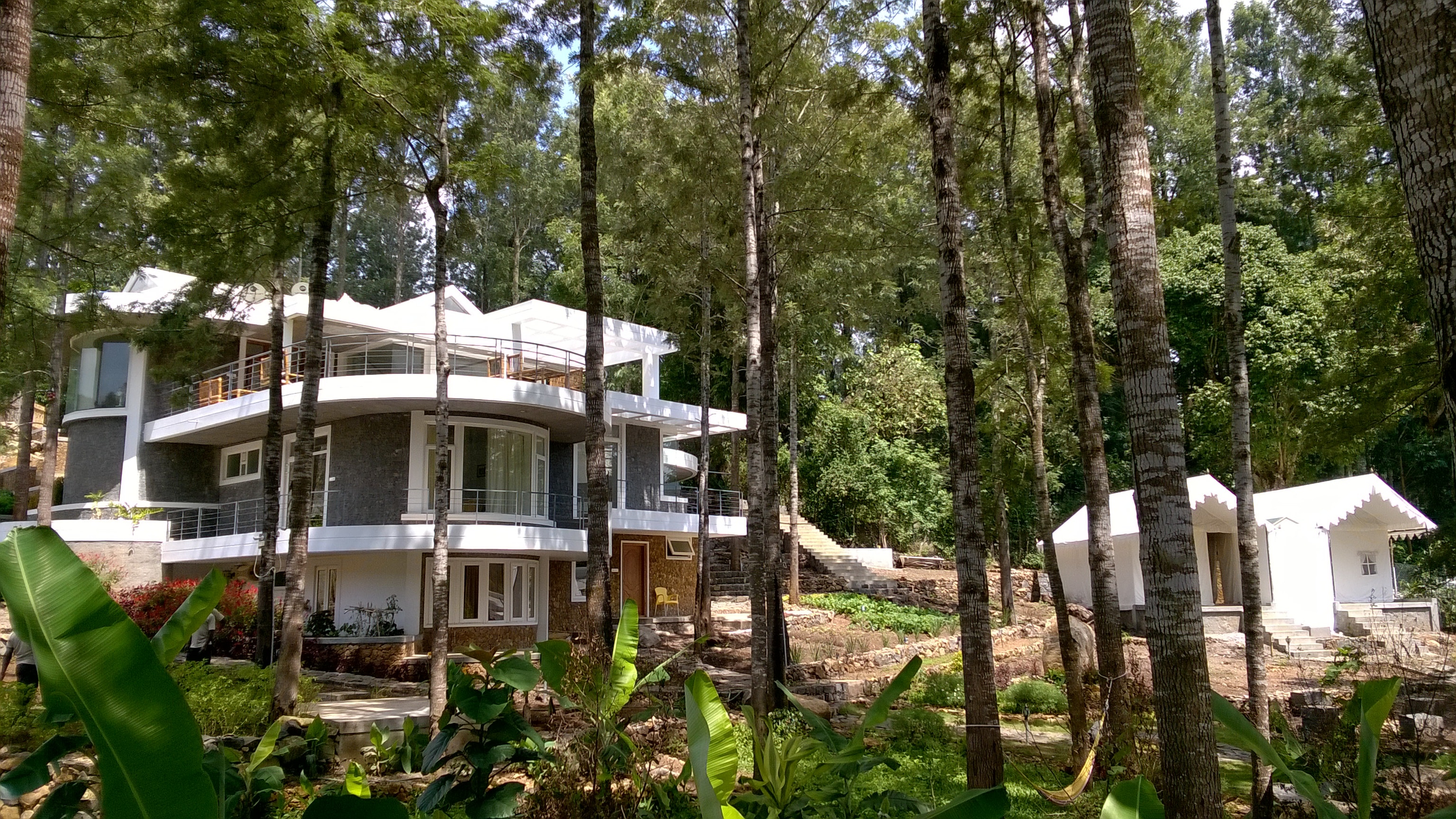 yercaud_wow_bison_woods._l