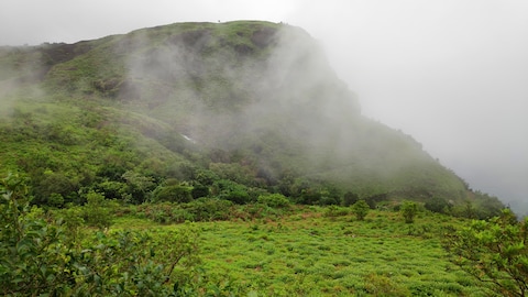 Madammakkulam Waterfalls