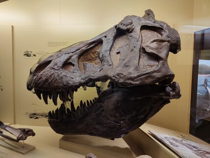 Museum of Man and Nature