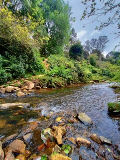 Vattakanal Waterfalls