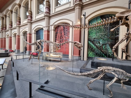 Museum für Naturkunde Berlin