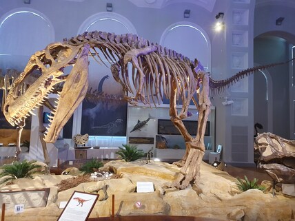 Finnish Museum of Natural History