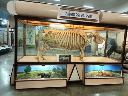 Regional Museum of Natural History