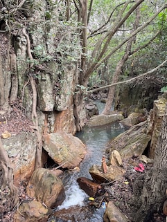 Tirumala Chakratheertham