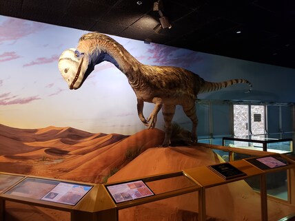 Las Vegas Natural History Museum