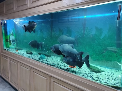 Jawahar Aquarium