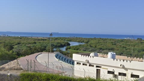 Mumtaz Mahal Restaurant