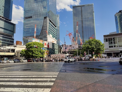 Shibuya Scramble Crossing