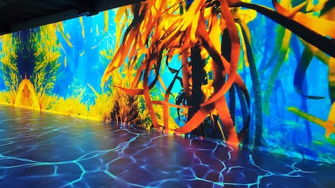 Tbilisi Digital Space