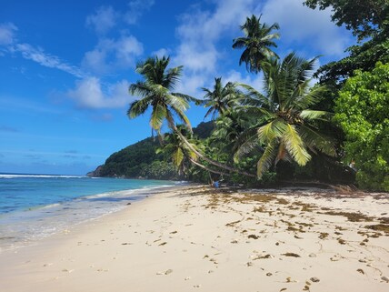Surfers Beach Restaurant