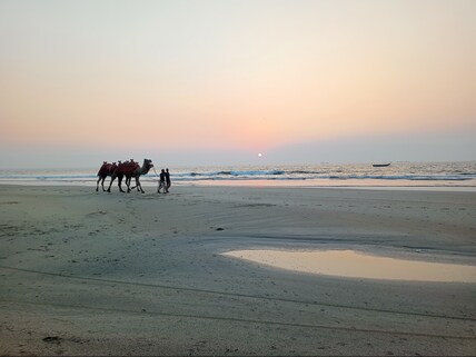 tarkarli beach malvan