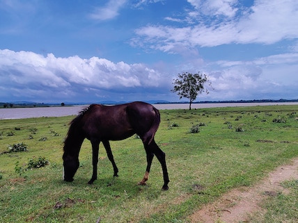 Kabini Backwaters