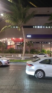 Palestine Street Walk